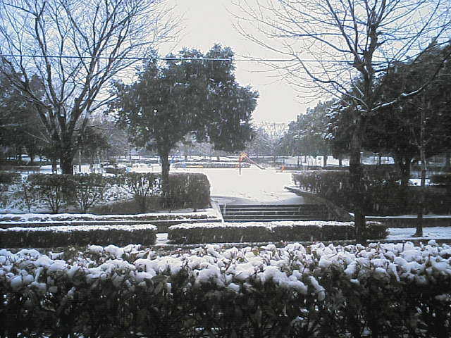 積雪